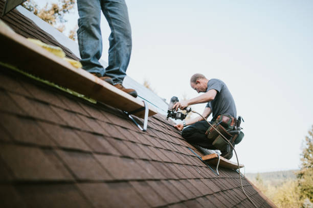 Professional Roofing Contractor in Hillsborough, NC
