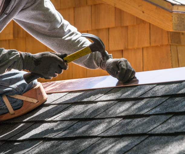 Best Roof Gutter Cleaning  in Hillsborough, NC